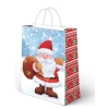 Torba prezentowa A3+ Passion Cards (TXL)
