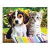 Zestaw kreatywny Diamentowa mozaika 30x40cm Pies i kot w koszyku Flamingo Line (1(89))