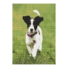 Zestaw kreatywny Diamentowa mozaika 30x40cm Jack Russell Flamingo Line (1(7))
