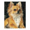 Zestaw kreatywny Diamentowa mozaika 30x40cm Chihuahua biszkoptowy Flamingo Line (1(5))