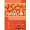 Papier kolorowy A4 mix 80g Kreska