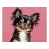 Zestaw kreatywny Diamentowa mozaika 30x40cm Chihuahua czarny Flamingo Line (1(13))
