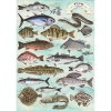 Puzzle Premium Plus Finders Keepers: Ryby Trefl (37609)