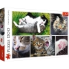 Puzzle Trefl kocie sprawy 1500 el. (26145)