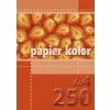 Papier kolorowy A4 mix 80g Kreska