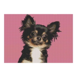 Zestaw kreatywny Diamentowa mozaika 30x40cm Chihuahua czarny Flamingo Line (1(13))