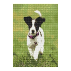 Zestaw kreatywny Diamentowa mozaika 30x40cm Jack Russell Flamingo Line (1(7))