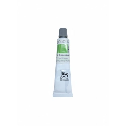 Farba akrylowa kolor: zieleń żółtawa 20ml Renesans (24)