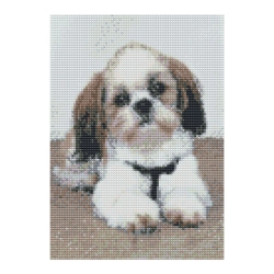 Zestaw kreatywny Diamentowa mozaika 30x40cm Shih tzu Flamingo Line (1(98))