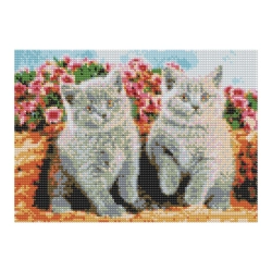 Zestaw kreatywny Diamentowa mozaika 30x40cm Koty brytyjskie Flamingo Line (1(90))