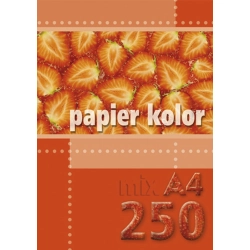 Papier kolorowy A4 mix 80g Kreska