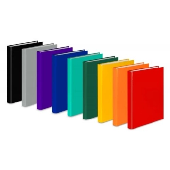 Segregator ringowy VauPe A4 25mm pomarańczowy (067/16)