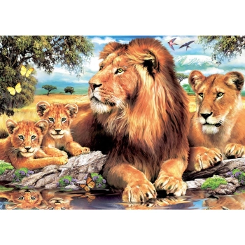 Zestaw kreatywny Norimpex malowanie po numerach -LWY (NO-1005682)