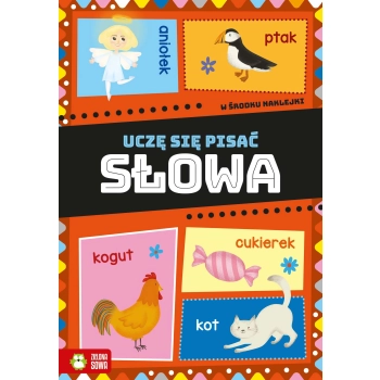 Książeczka edukacyjna Zielona Sowa Uczę się pisać. Słowa