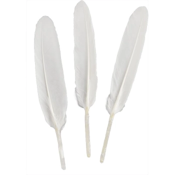 Piórka Titanum Craft-Fun Series białe 50 szt (lotki)