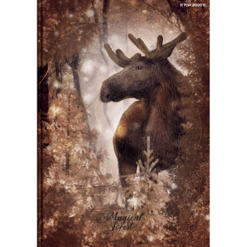 Brulion Top 2000 FOREST/ICE 400169416 A5 96k. 70g krata