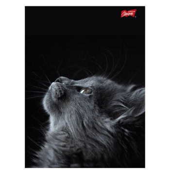 Zeszyt Unipap laminowane A5 60k. krata [mm:] 148x210