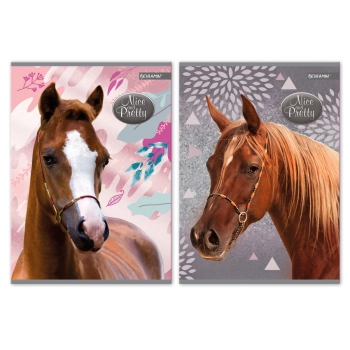 Zeszyt Beniamin Nice&Pretty 70g [mm:] 145x208 (6095767)