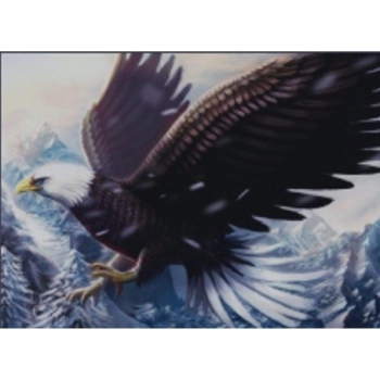 Zestaw kreatywny Norimpex Diamentowa mozaika orzeł w locie 40x30cm (NO-1004948)