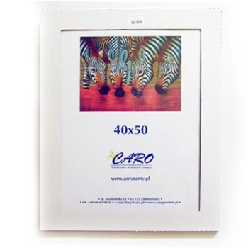 Antyrama Raw-West plexi [mm:] 400x500