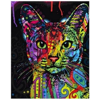 Zestaw kreatywny Norimpex malowanie po numerach - kolorowy kot (NO-1007029)