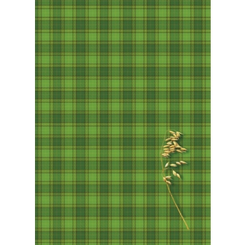 Brulion Kreska B5 160k. krata