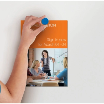 Magnes Nobo (1904116)