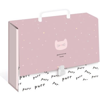 Teczka z szerokim grzbietem na zatrzask Interdruk C4 kolor: mix (TERAC4G)