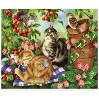 Zestaw kreatywny Norimpex Diamentowa mozaika kotki 40x30cm (NO-1007434)