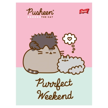 Zeszyt Unipap Pusheen A5 32k. 70g linia kolor