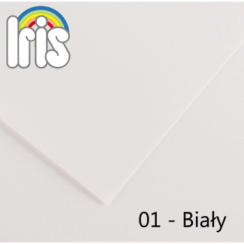 Brystol Canson A4 biały 185g 50k (200040152)