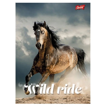 Zeszyt St.Majewski A4 96k. 70g linia