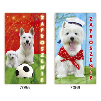 Zaproszenie Merigraf Duże Zoo