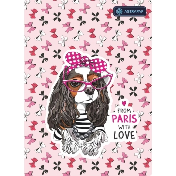 Zeszyt Astrapap krata A5 32k. krata (102021005)