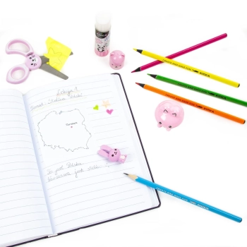 Zestaw szkolny Derform Kidea Zwierzaki (WSZKA)