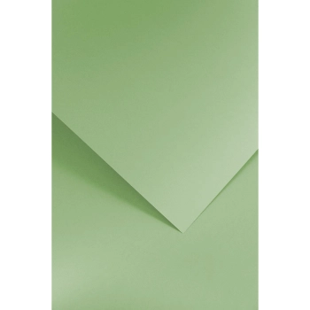 Papier ozdobny (wizytówkowy) Galeria Papieru gładki A4 - zielony jasny 210g (205506)