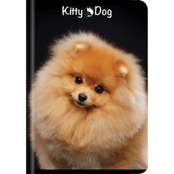 Zeszyt TOP-2000 kitty&dog A5 60k. 70g krata [mm:] 150x210 (400135996)