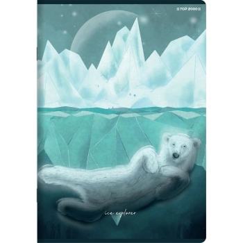 Zeszyt Top 2000 FOREST/ICE A6 32k. 70g krata (400169409)