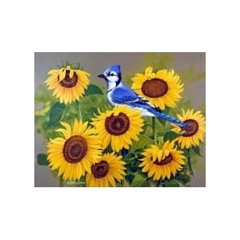 Zestaw kreatywny Norimpex malowanie po numerach - słoneczniki z ptakiem (NO-1005642)