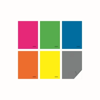 Zeszyt Herlitz Color Blocking A4 60k. krata [mm:] 207x296 (9566605)