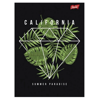 Brulion St.Majewski B5 B5 96k. krata