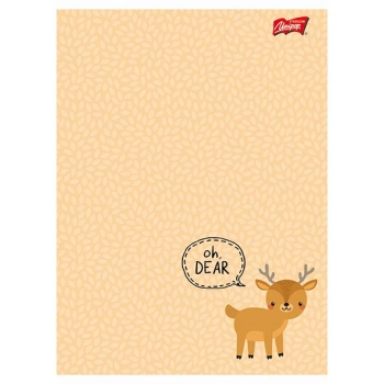 Zeszyt Bambino A5 16k. linia kolor