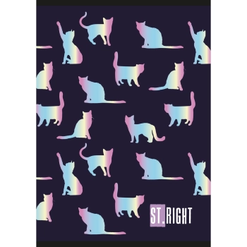 Zeszyt Unipap St.Right A5 32k. 70g linia podwójna kolorowa