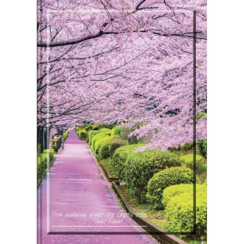 Zeszyt Top 2000 GLOBE A5 96k. 70g linia (400147568)