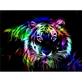 Zestaw kreatywny Norimpex Diamentowa mozaika kolorowy tygrys 40x30cm (NO-1007116)