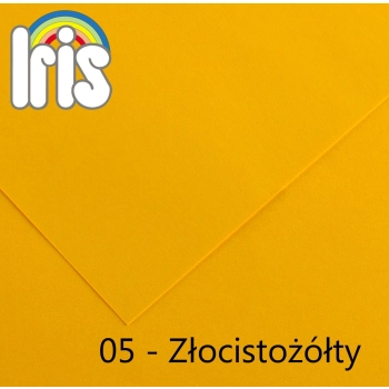 Brystol Canson Iris 05 B1 żółty złocisty 240g 25k [mm:] 700x1000 (200040444)