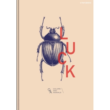 Brulion Top 2000 megamix A5 96k. 70g krata (400168858)