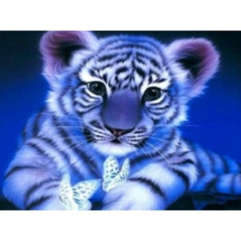 Zestaw kreatywny Norimpex Diamentowa mozaika tygrysek z motylkiem nocą 40x30cm (NO-1004941)