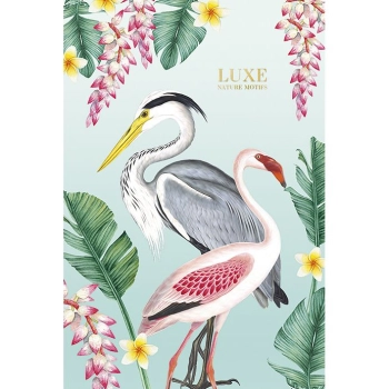 Brulion Astra 101020017 B5 80k. 70g krata