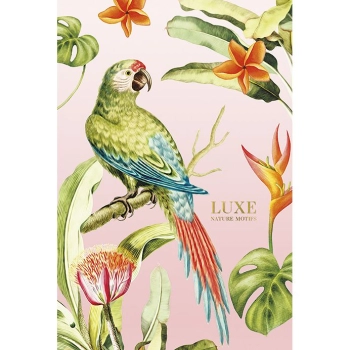 Brulion Astra 101020017 B5 80k. 70g krata